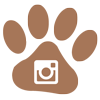Follow Care 4 Cats Ibiza on Instagram